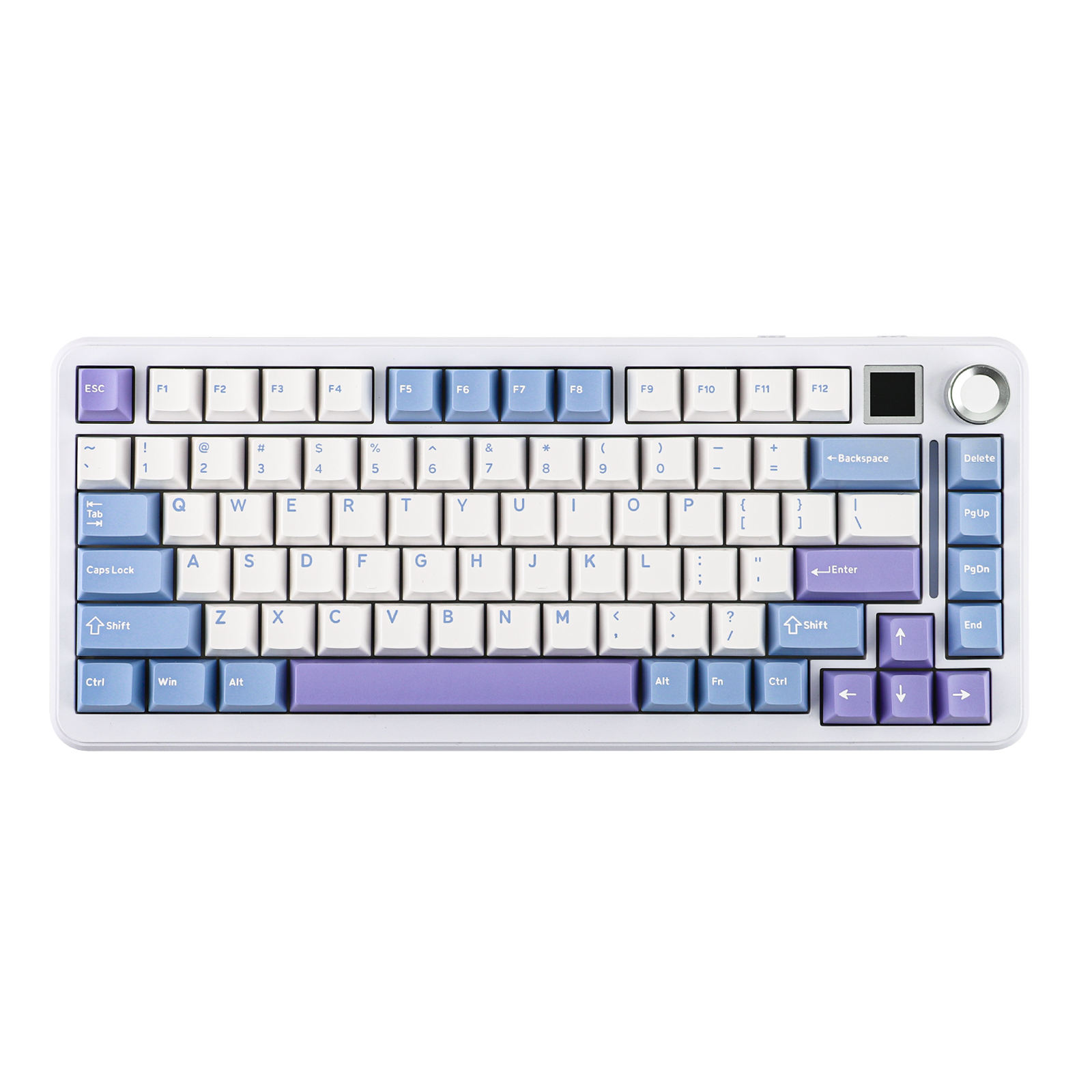 IMG_8859.png?v=1739865863